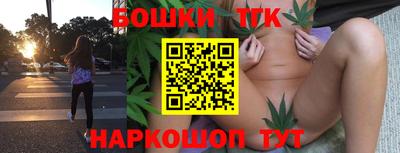 гидра Аша