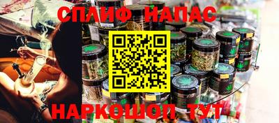 гидра Аша