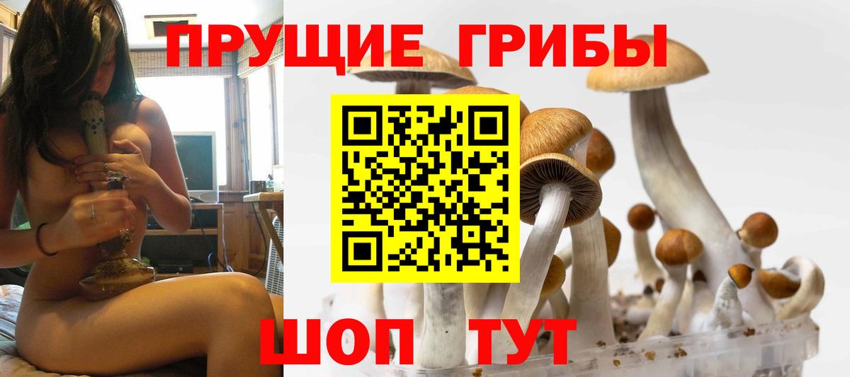 Галлюциногенные грибы ЛСД  Вход с VPN  Камень-на-Оби 